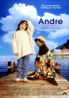 Andre 1994 60f 720p 480p